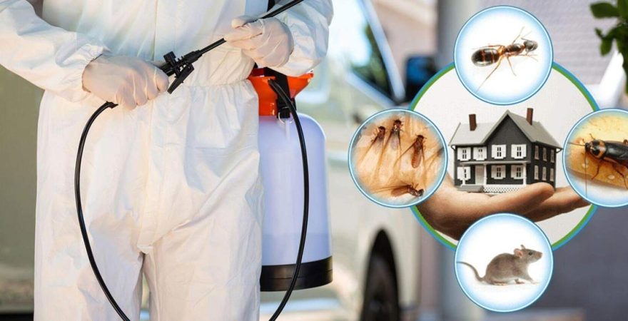 Meram Böcek İlaçlama