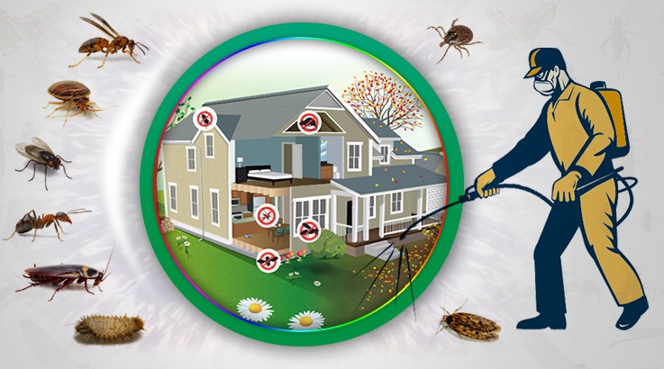 Meram Böcek İlaçlama