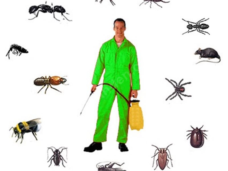 Meram Böcek İlaçlama